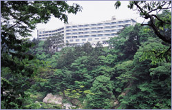 �S�{�샍�C�����z�e���O�ω摜