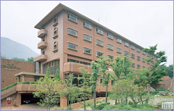 �ɓ����z�e���������{�O�ω摜