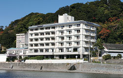 ���c�C�l�z�e���O�ω摜