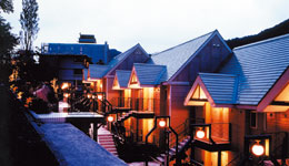 �{�݃C���[�W