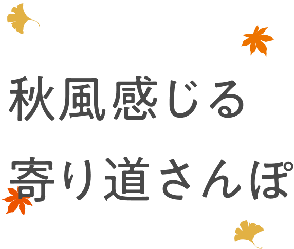 �H���������蓹�����