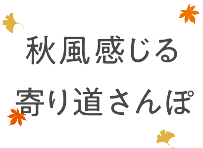 �H���������蓹�����