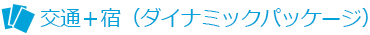 交通+宿(ダイナミックパッケージ)