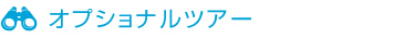 オプショナルツアー