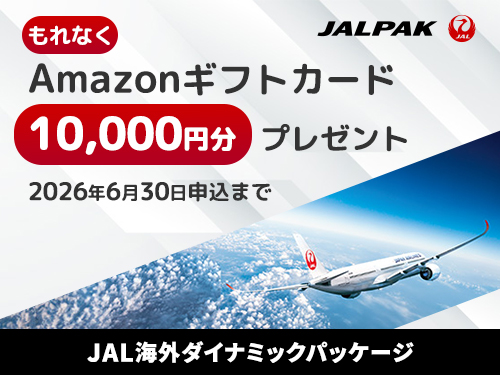 JAL�@�C�O�_�C�i�~�b�N�p�b�P�[�W