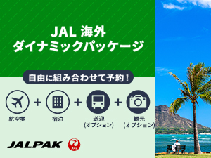 JAL�@�C�O�_�C�i�~�b�N�p�b�P�[�W