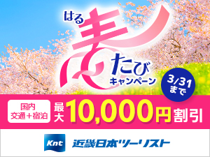 �ߋE���{�c�[���X�g�@�_�C�i�~�b�N�p�b�P�[�W�@������