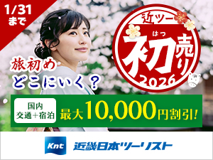 �ߋE���{�c�[���X�g�@�_�C�i�~�b�N�p�b�P�[�W�@������