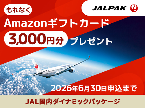 JAL�@�����_�C�i�~�b�N�p�b�P�[�W