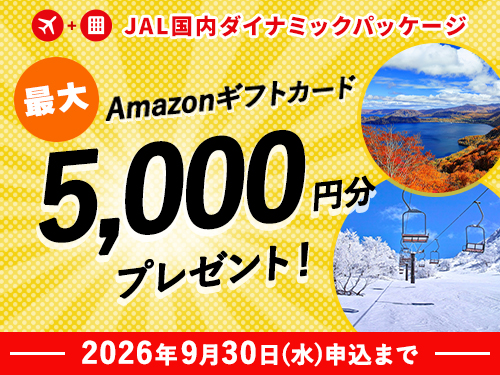 JAL�@�����_�C�i�~�b�N�p�b�P�[�W