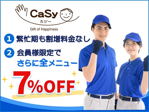 CaSy